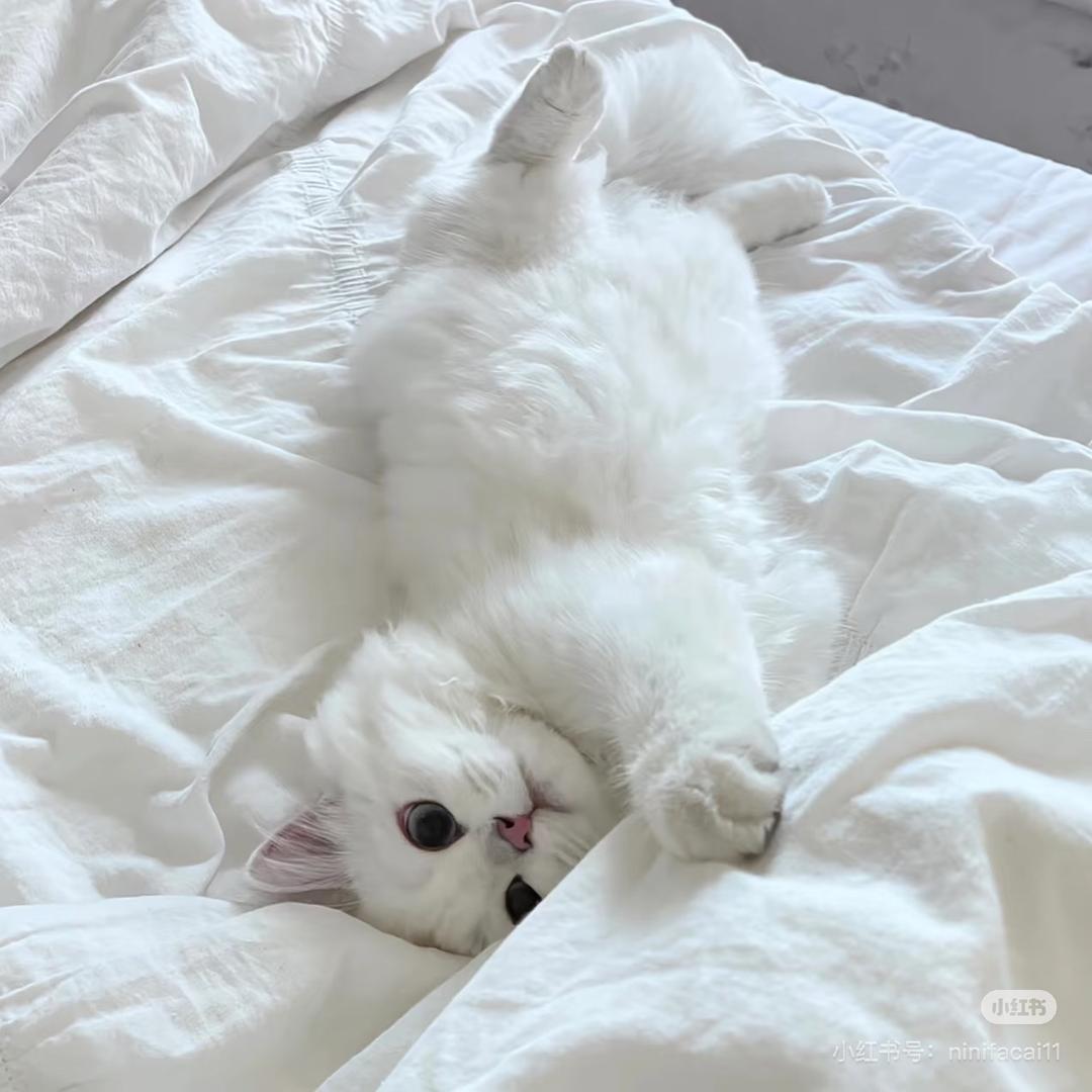Wᴇ.