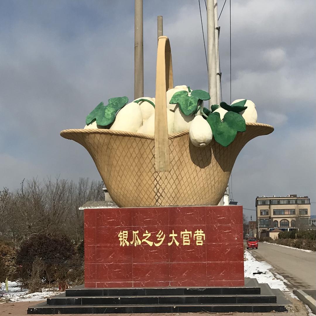 弥河银瓜大官营村