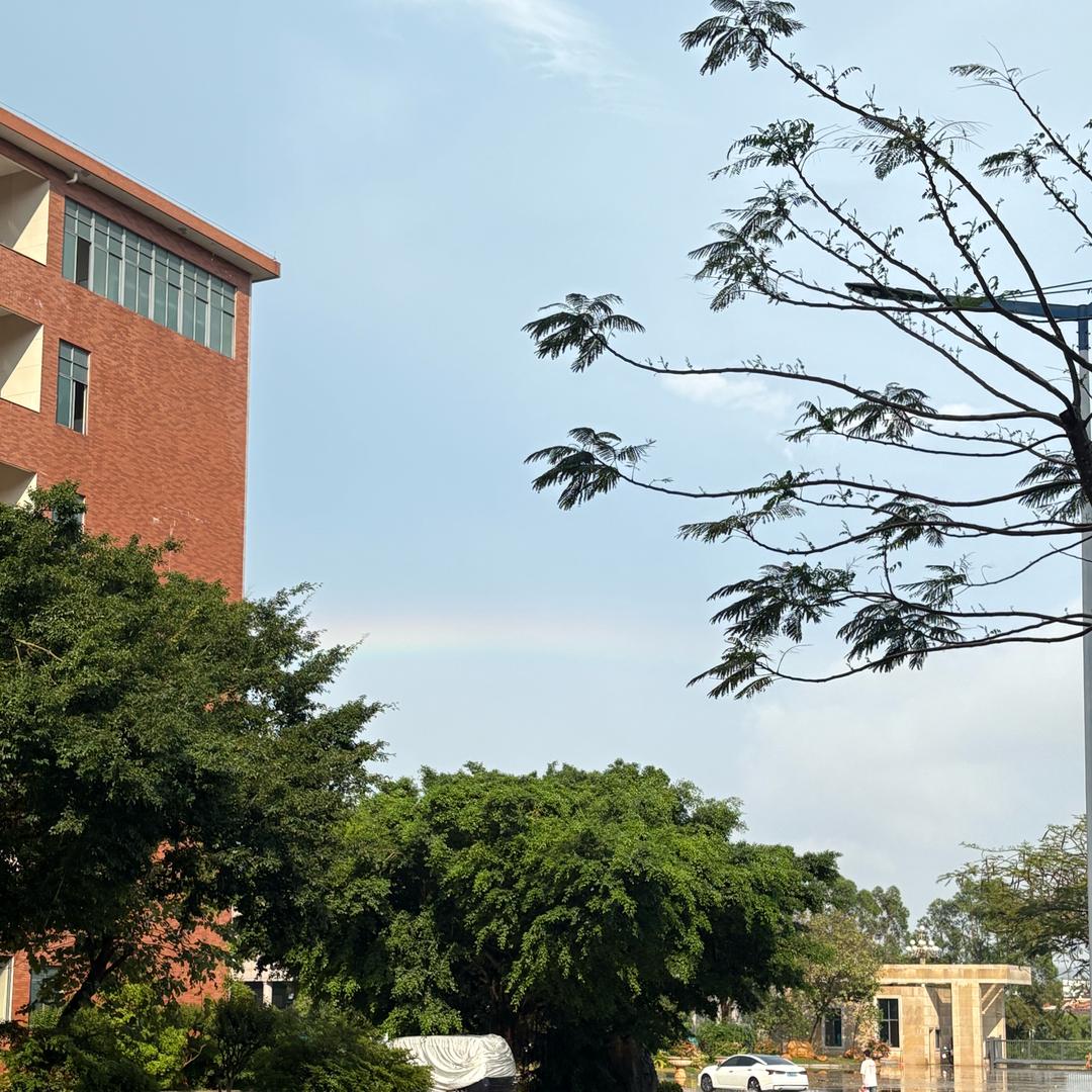 湛江升学规划（大陈老师）