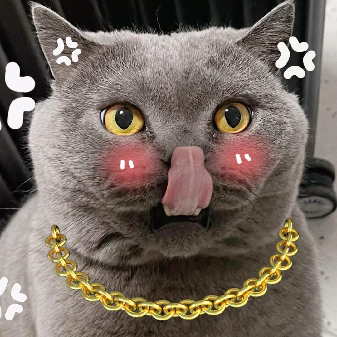 大头怂怂🐱（臭jio版）