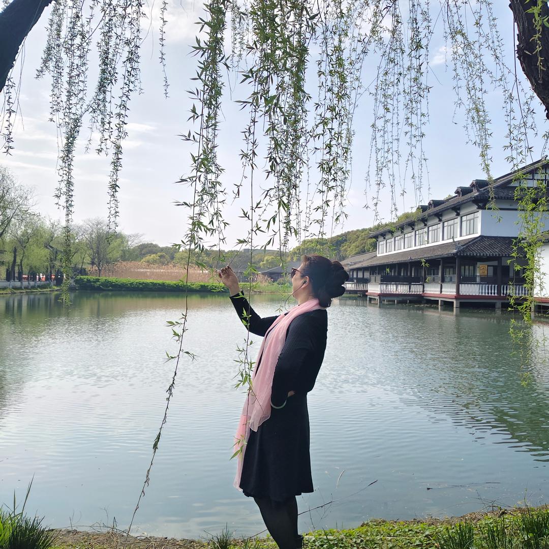 🌹雾里看花🌹