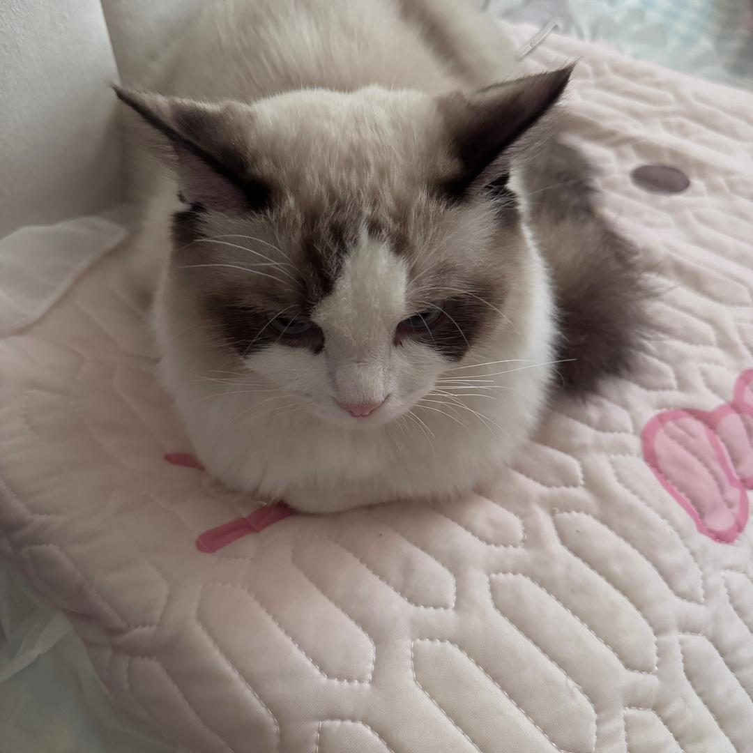 碗