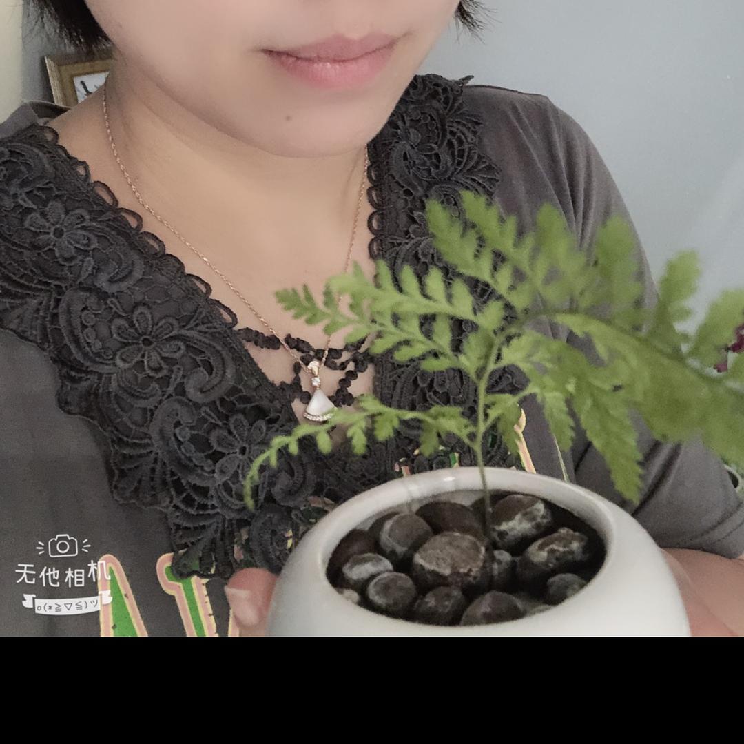 风一样自由