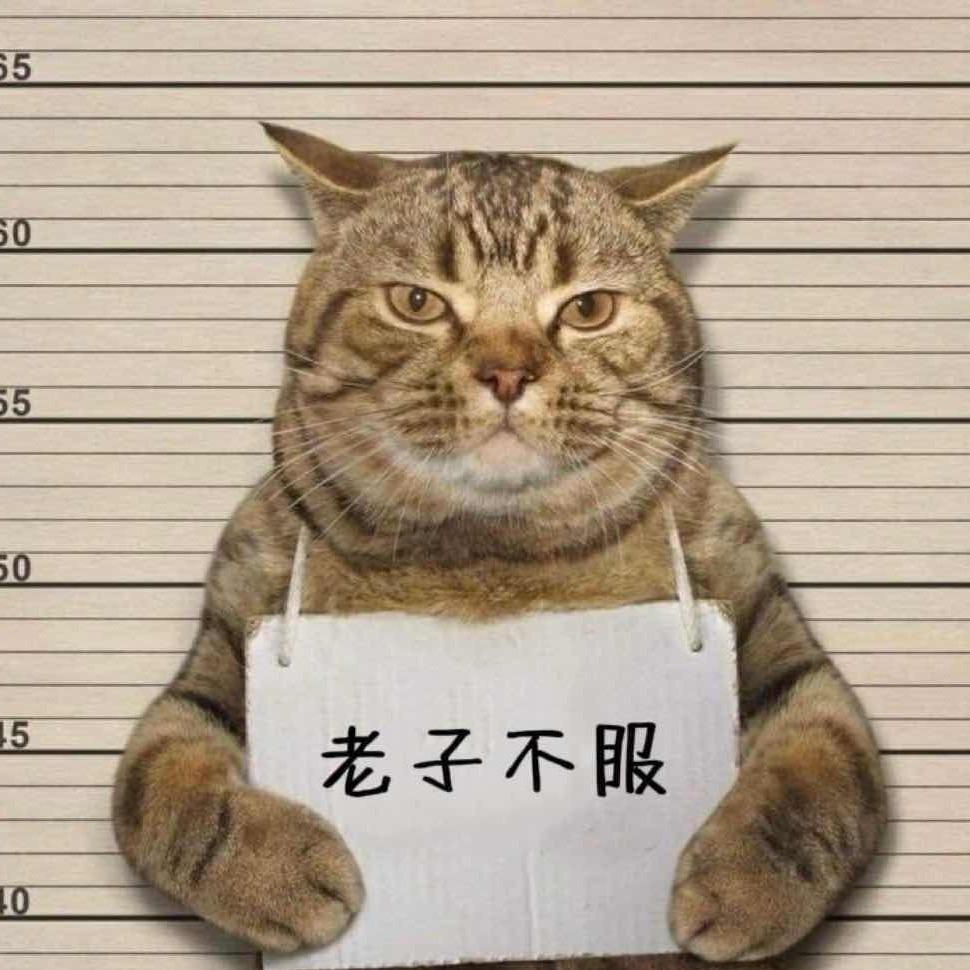 胖胖