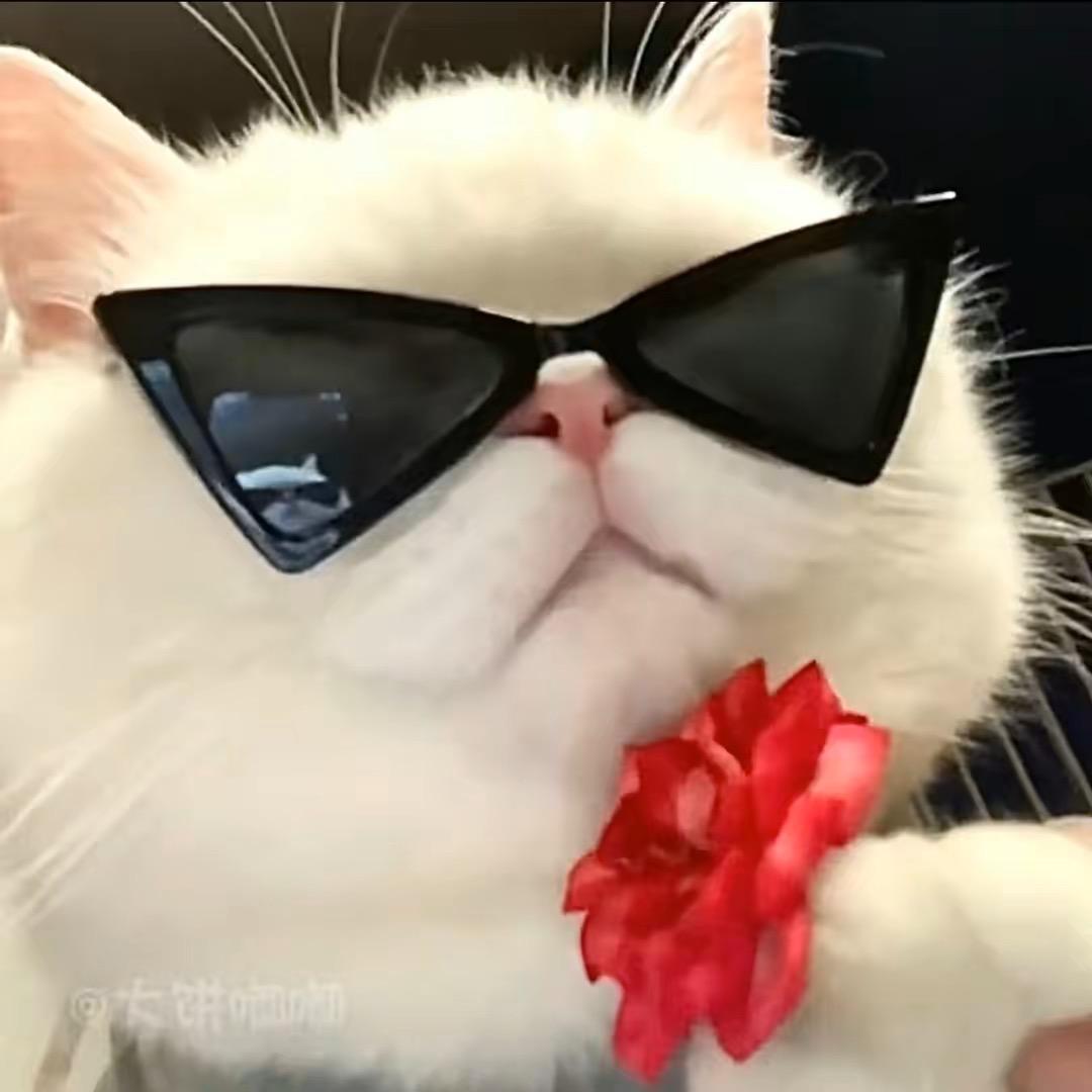 kelly小妹