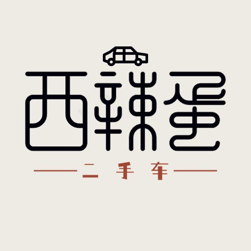 乌市易手电车（二手）