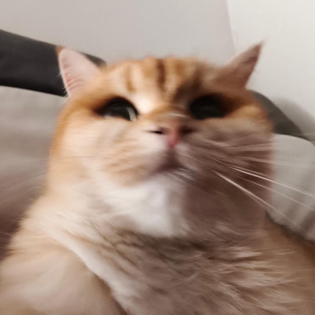 狙狙