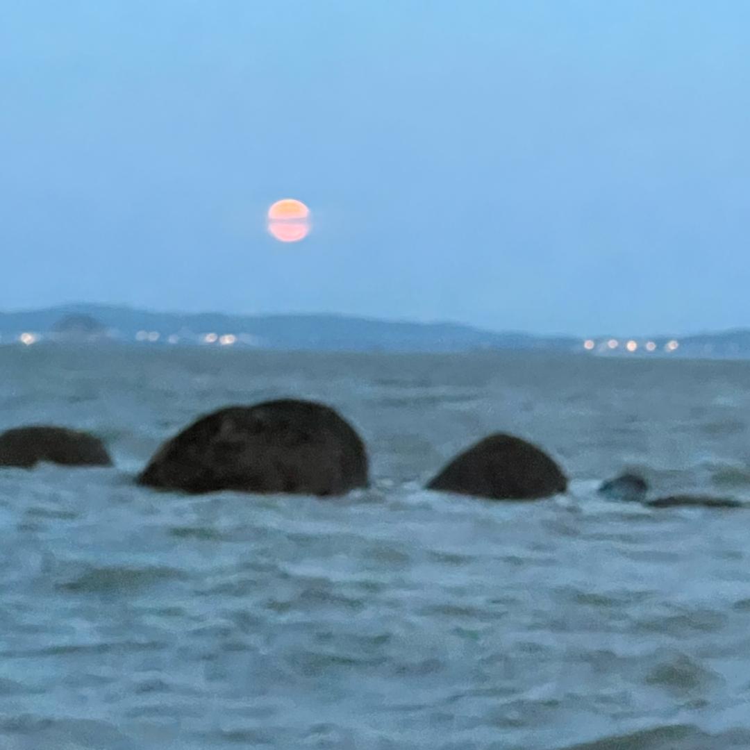 大鹏优选