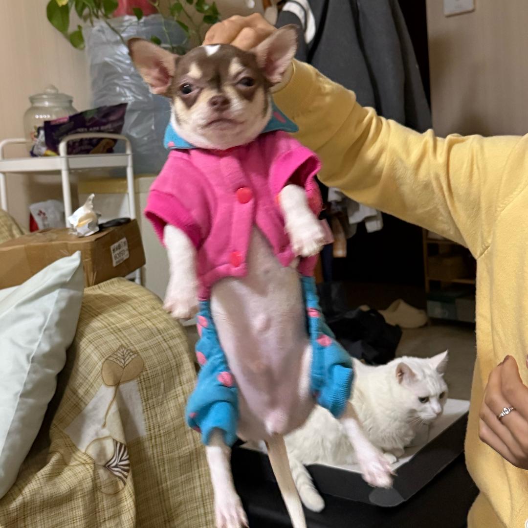 反话