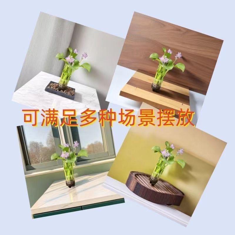 心意绿植
