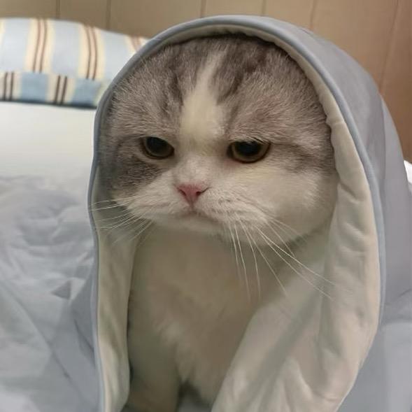 秒秒