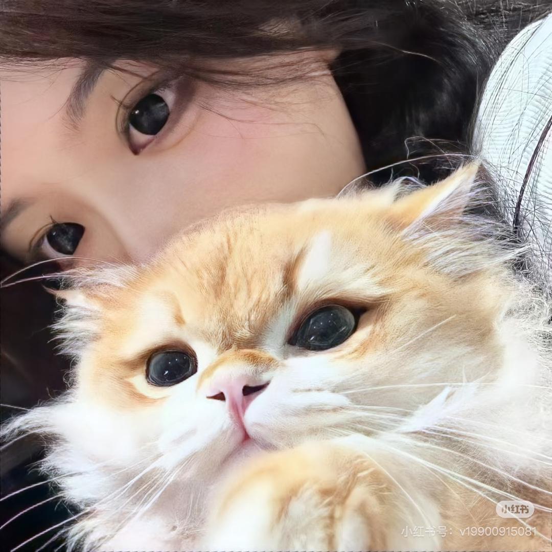 马灌大锅卤菜（返乡）