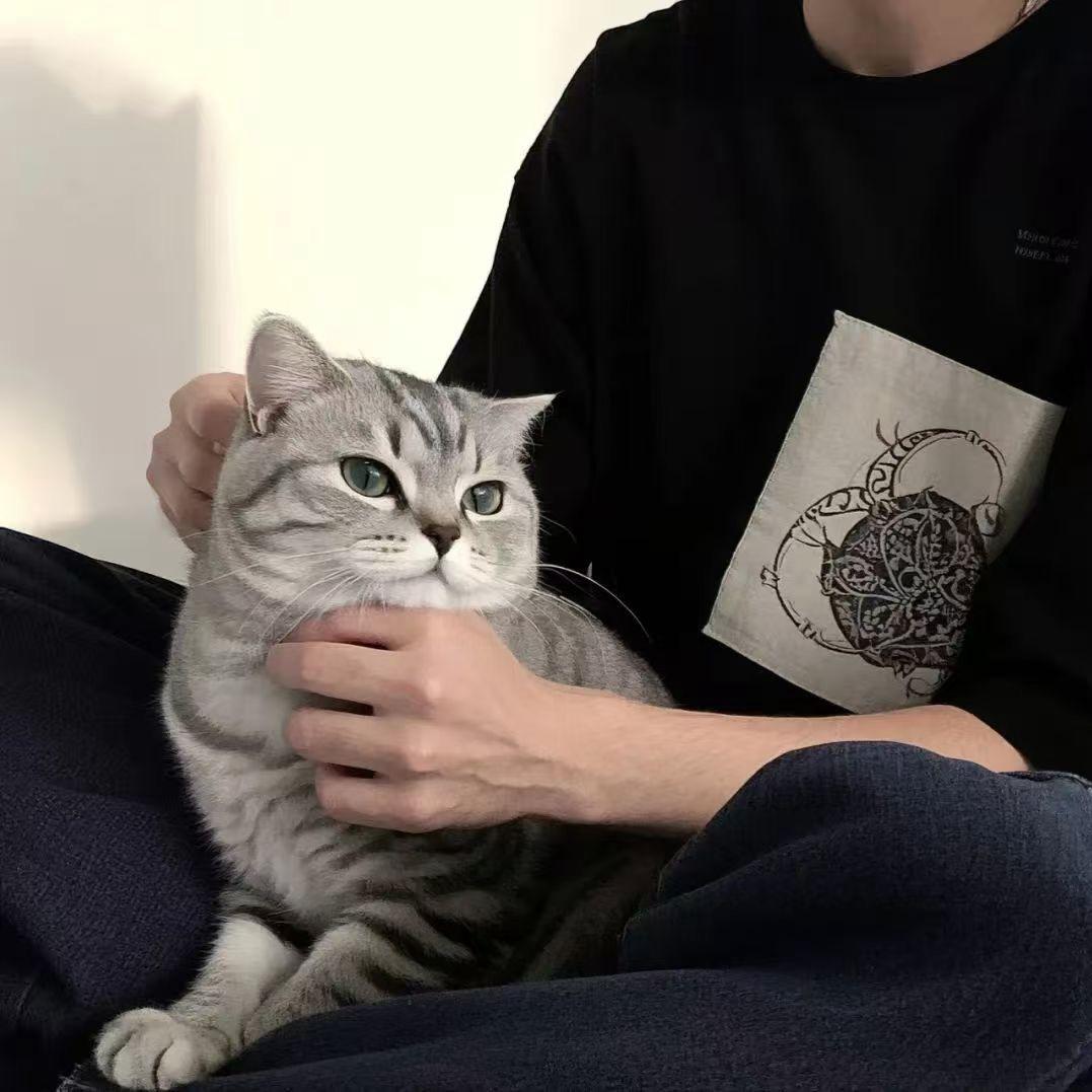 Cs-SereIIn