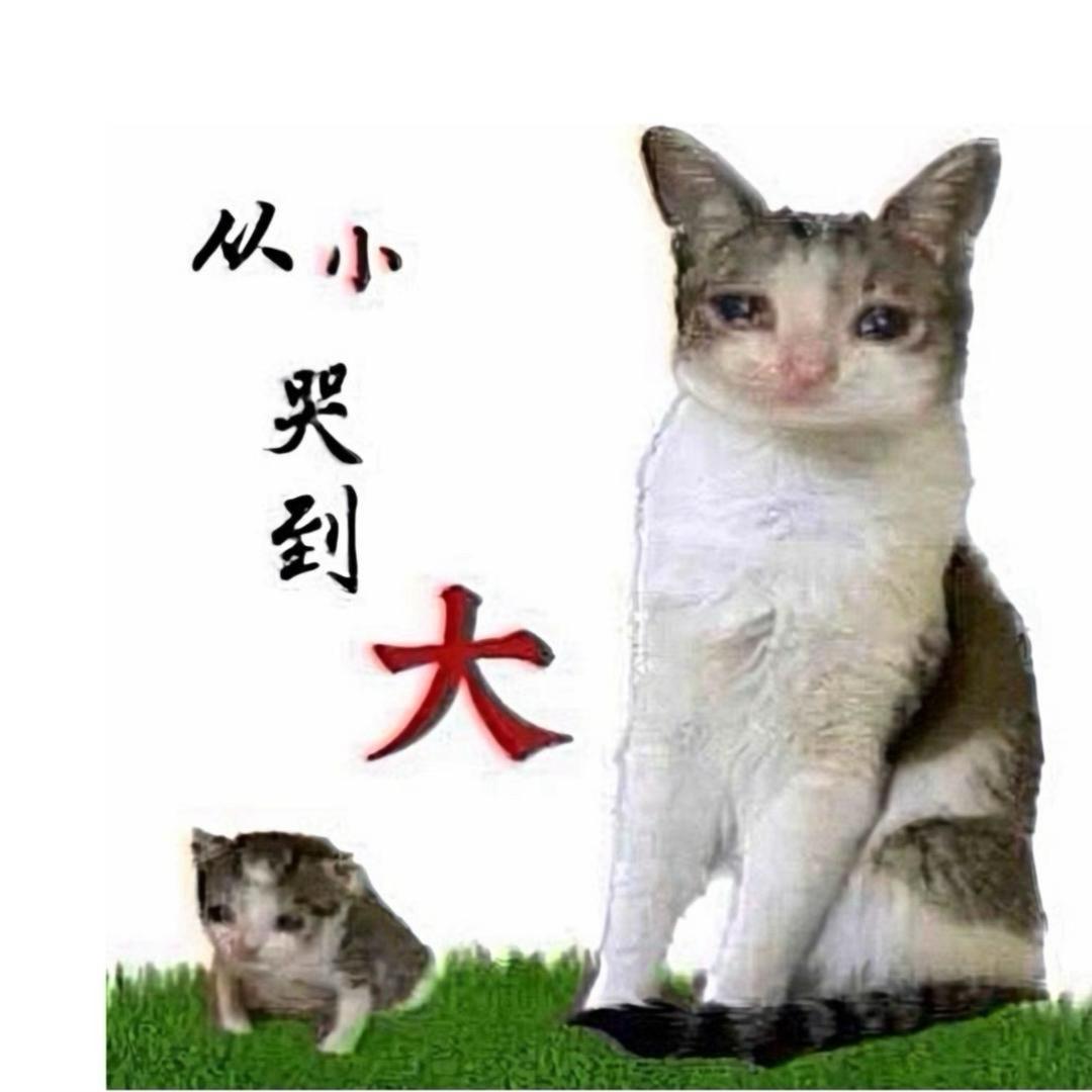 抓尾巴猫