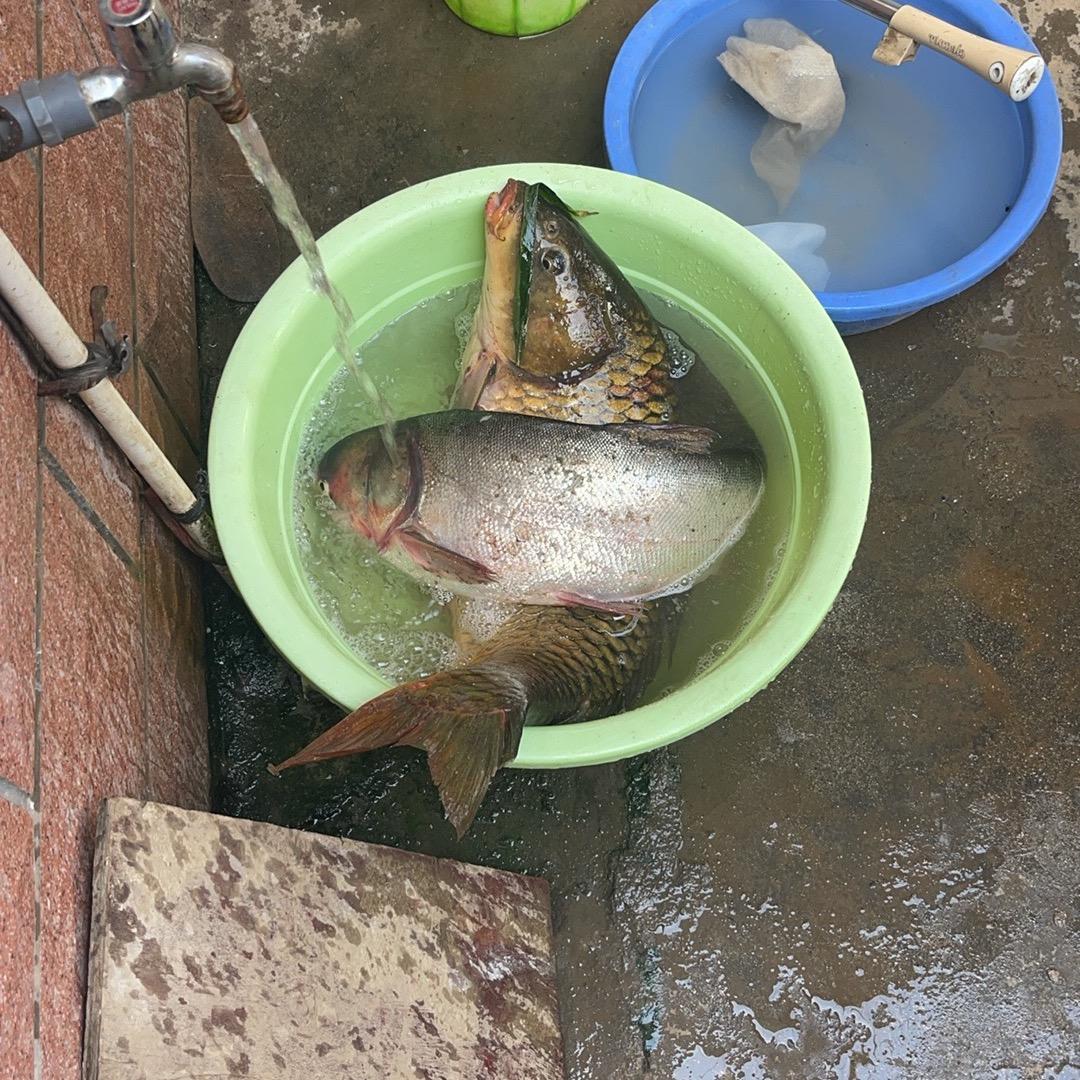 国家三级抬杠运动员