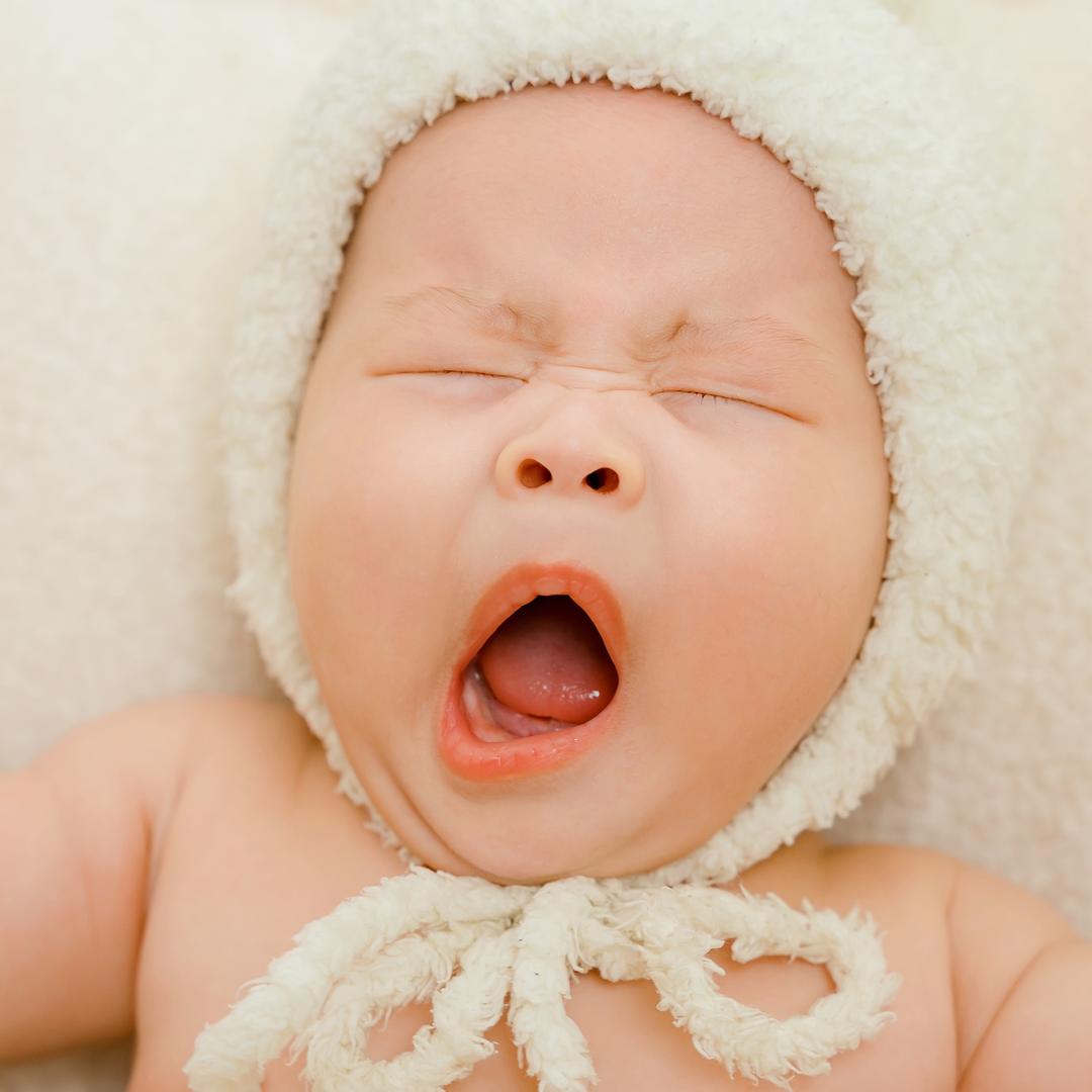 辰辰（15月龄）