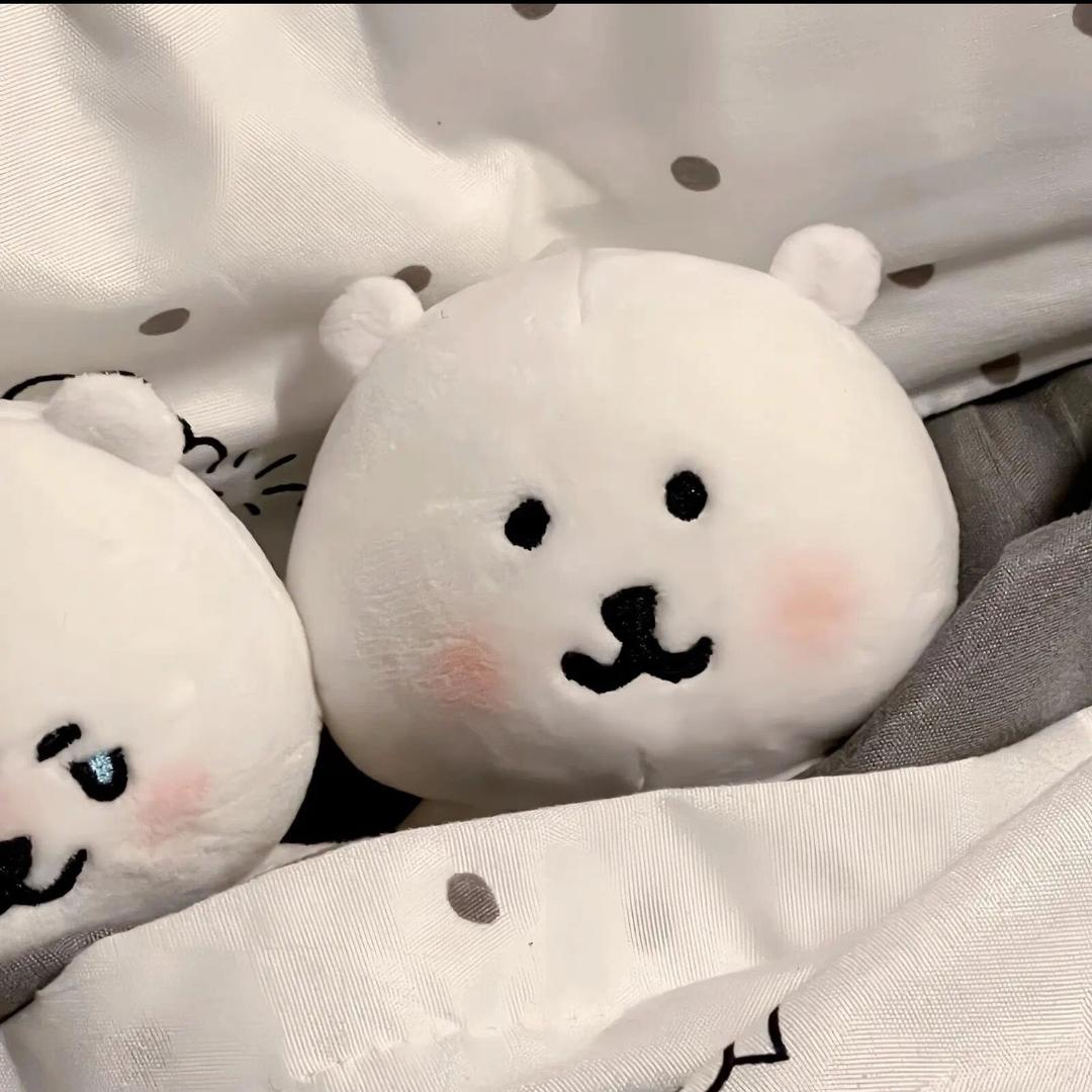 罐头猫猫
