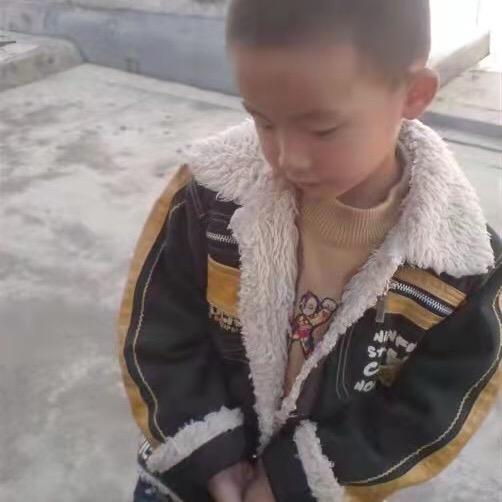 小羊驼呀～