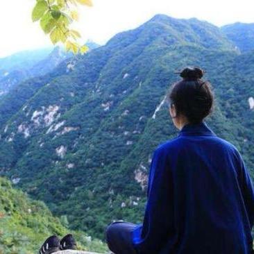 一心师姐(私信报名)