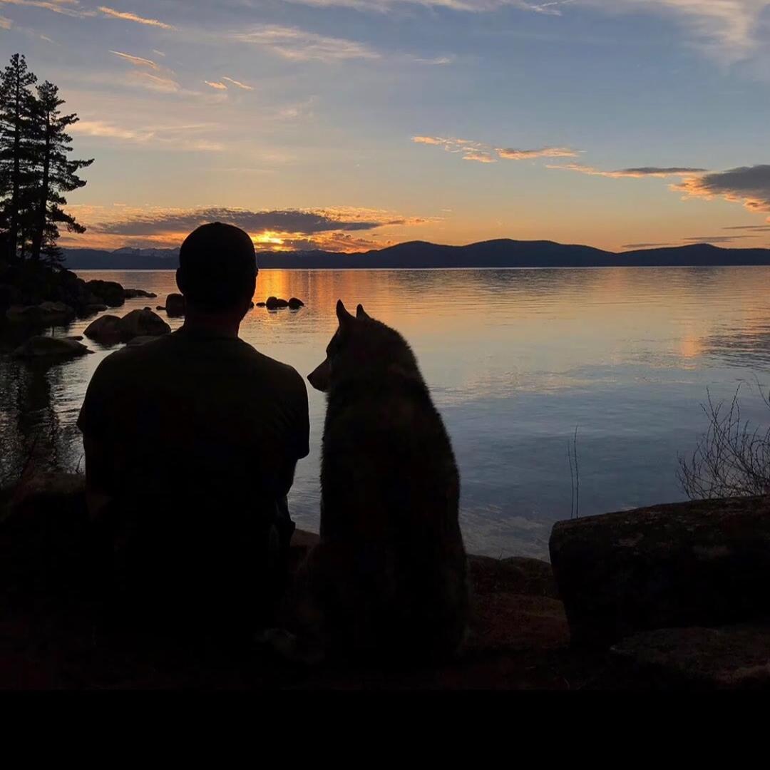 隆化县佳星工作室