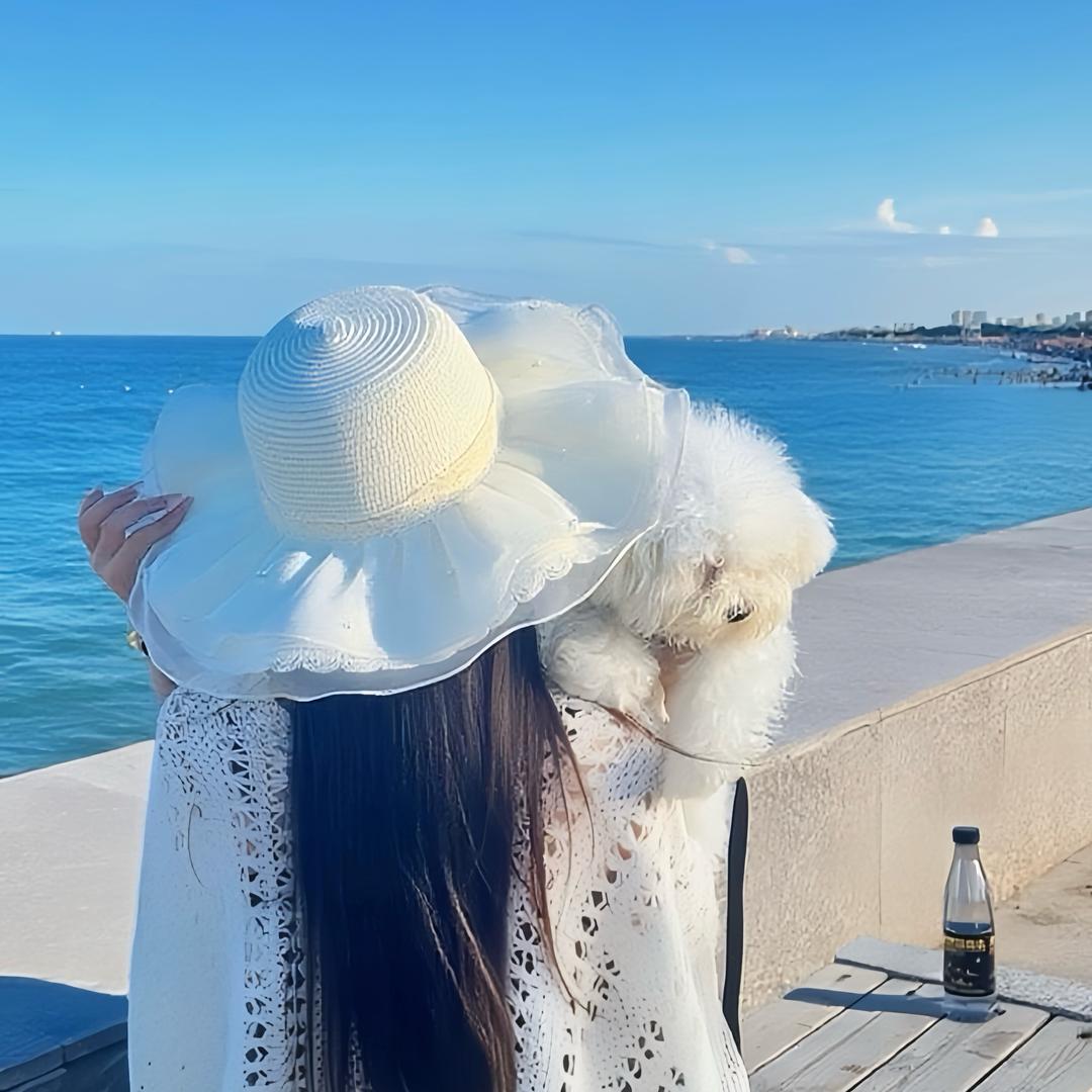 十一🐾