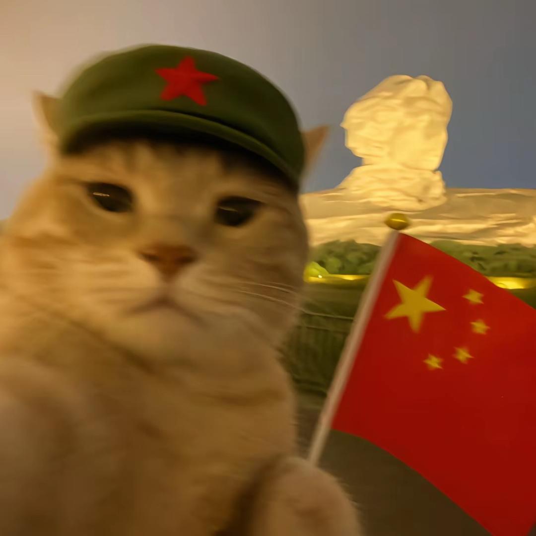 树先生.