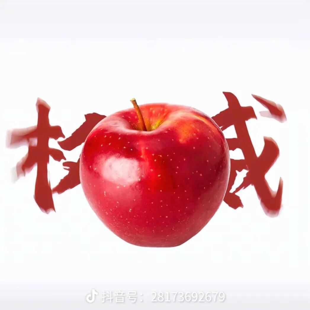 大大的苹果