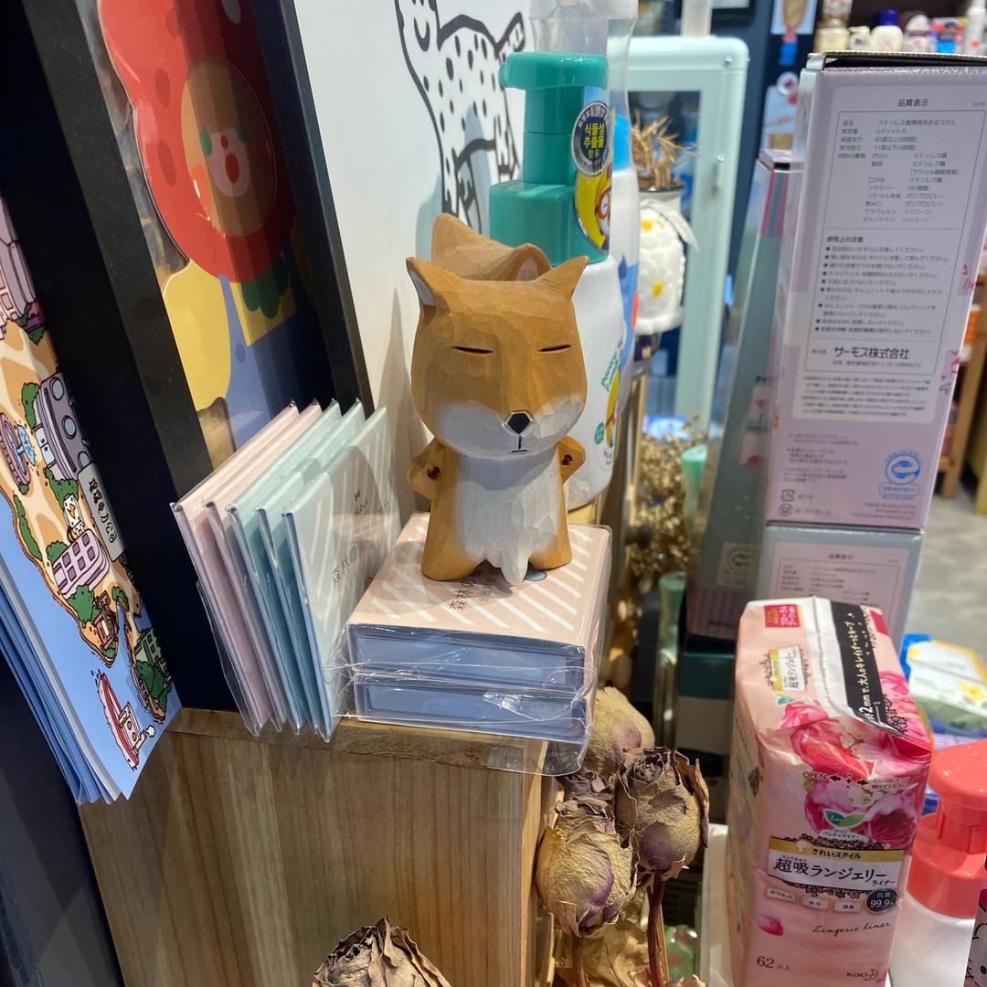 豆豆没有蛀牙