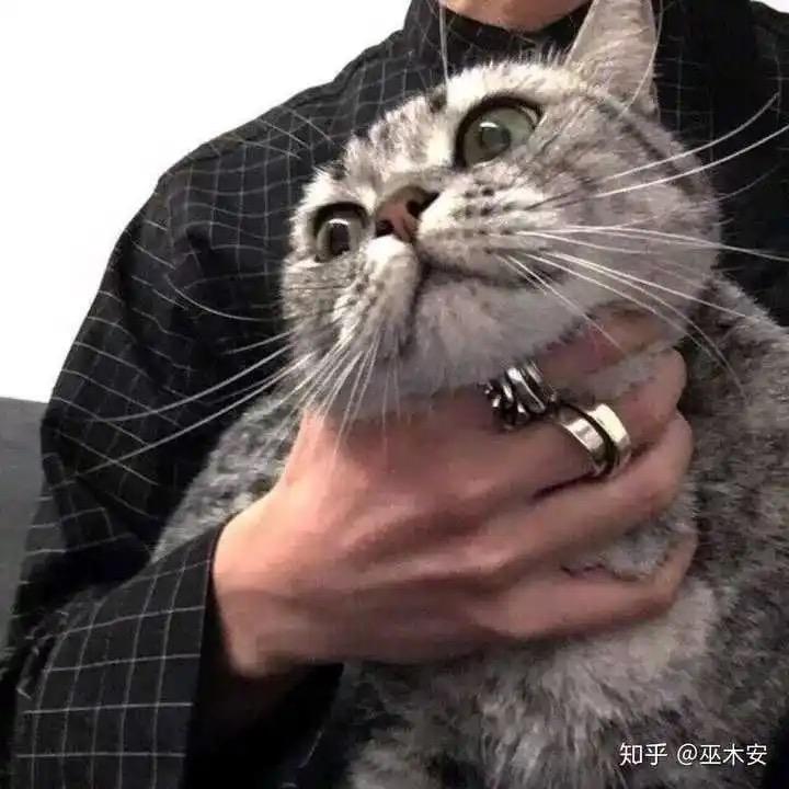 秃易