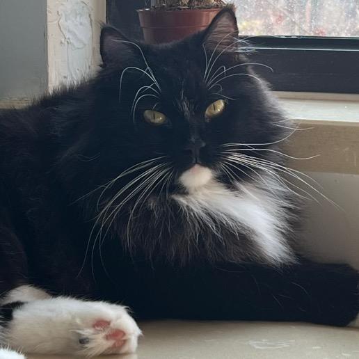 于哈哈的日常（笑不出来版）