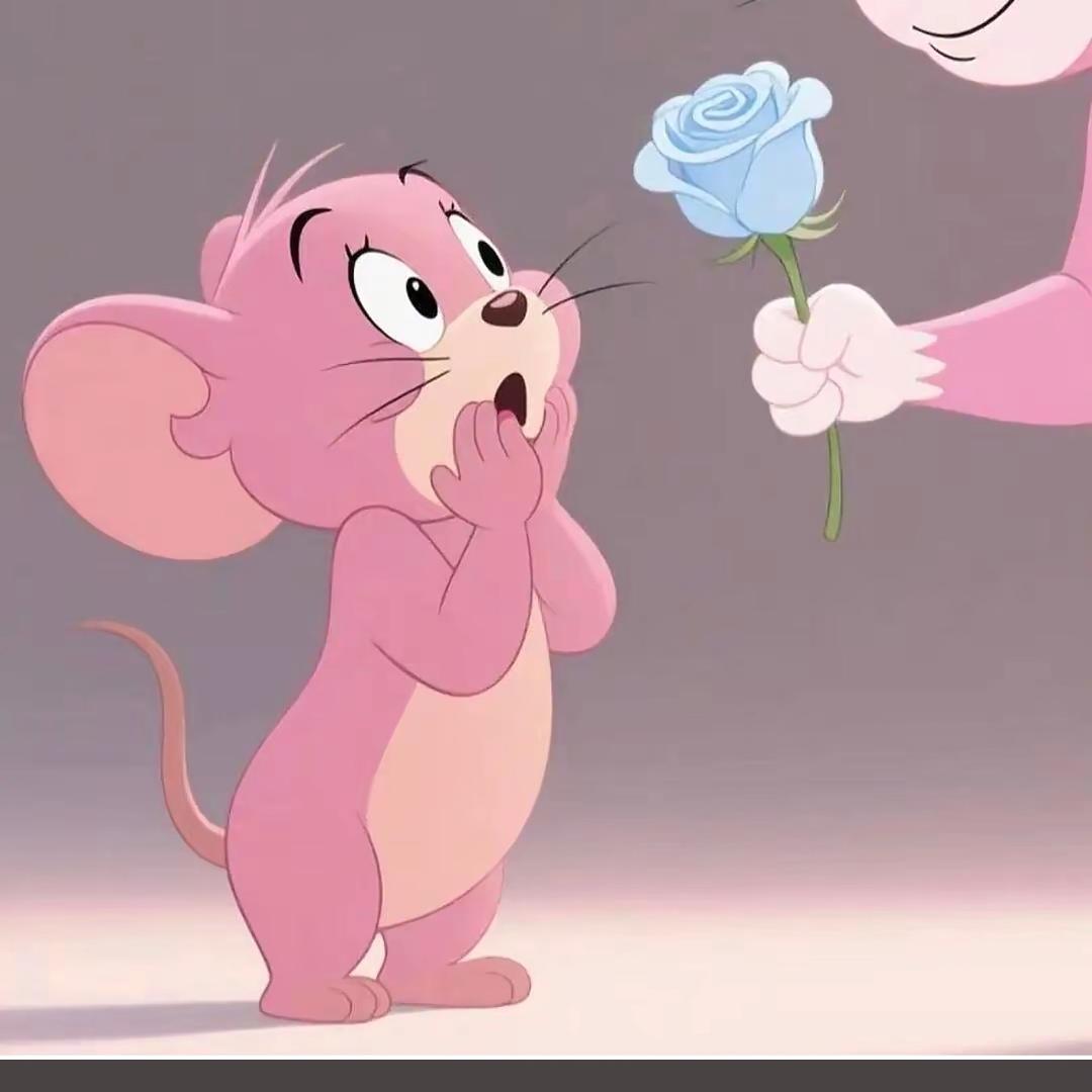 ঞ꯭遇圆❀࿐ᩚᮨ ้