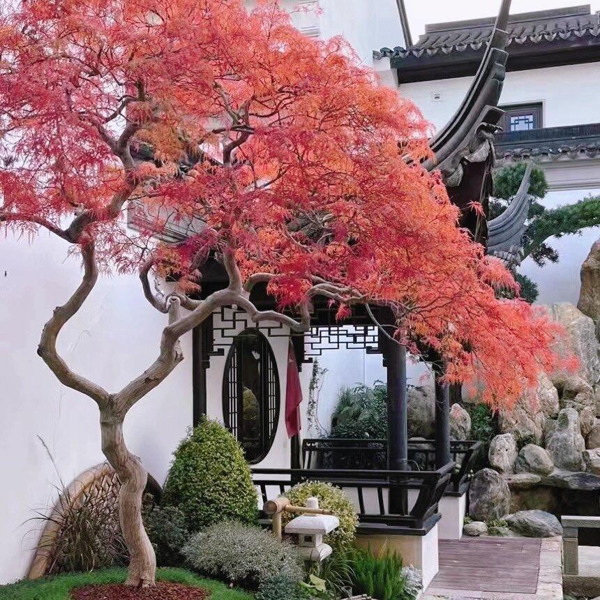 原之色园艺