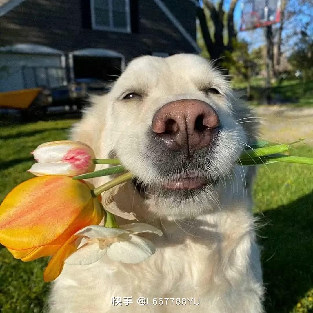 太阳当空趙先生