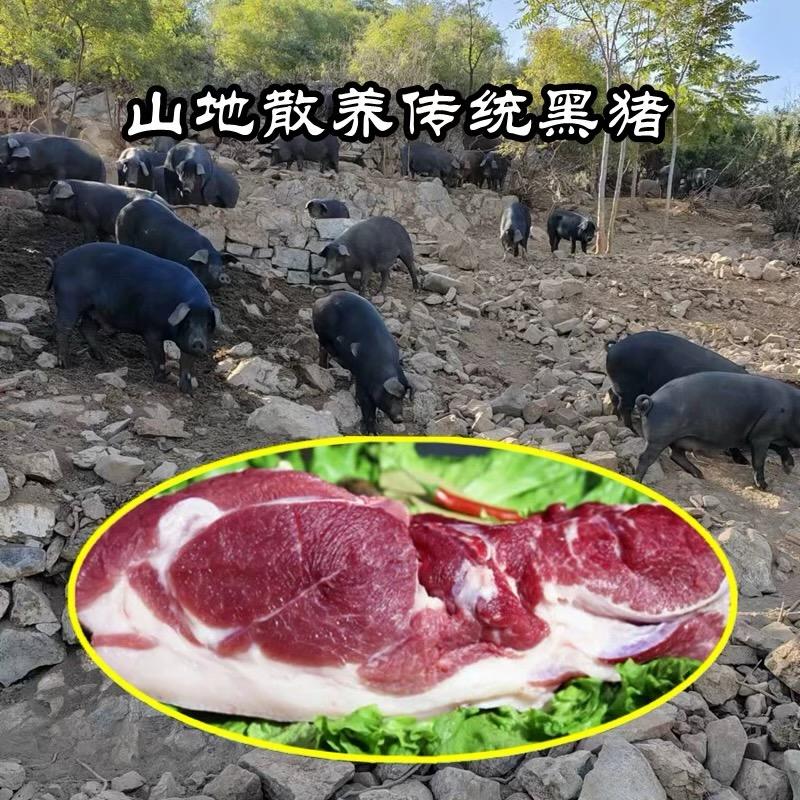 九号农场