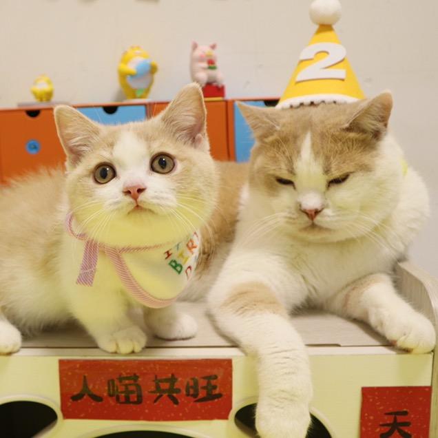 大肠包小方