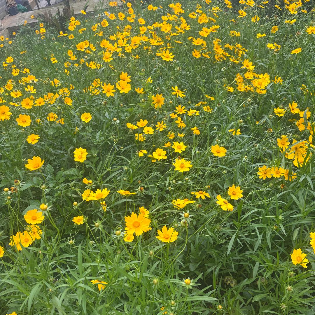 @璇宝