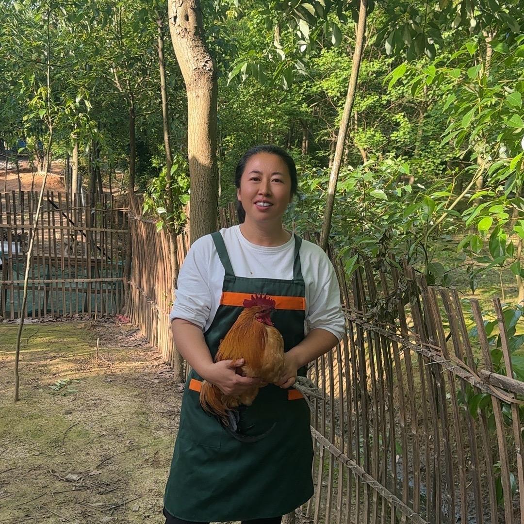 王梅(农村散养皖南土鸡)