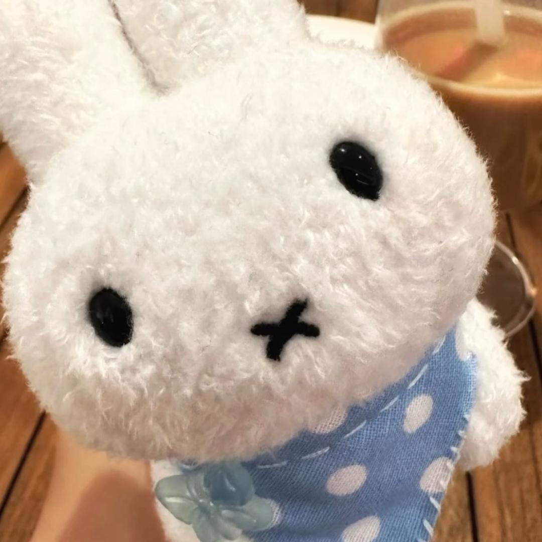 小蛇的骨头🦴
