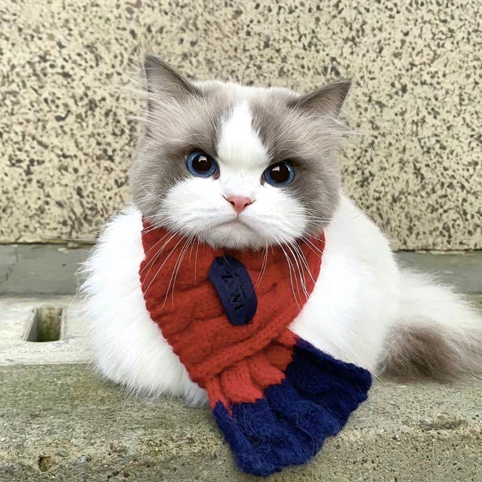 小凌