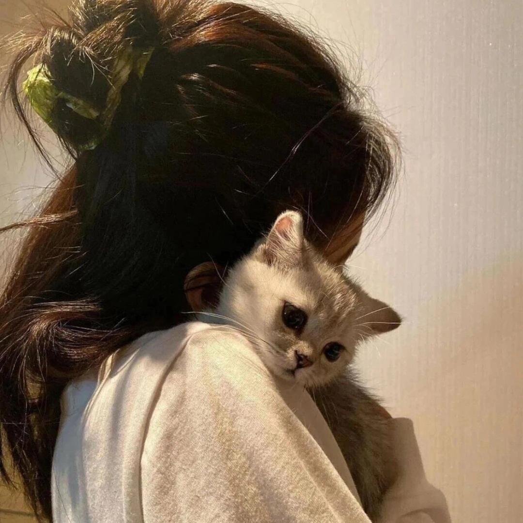 潔
