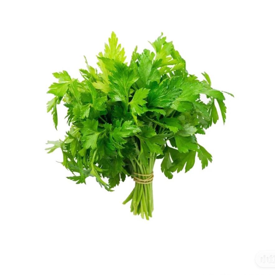 爱吃香菜o