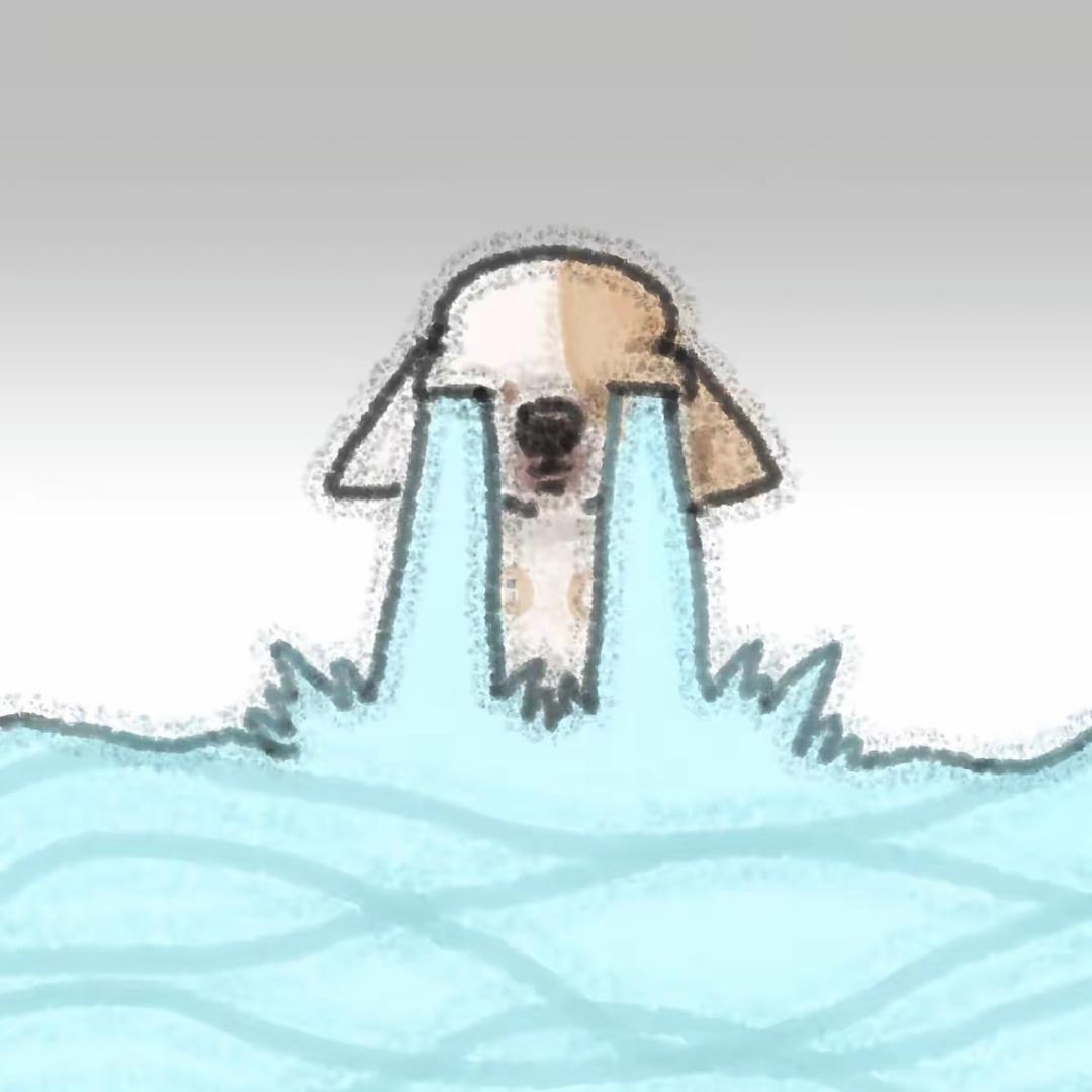 灯箱