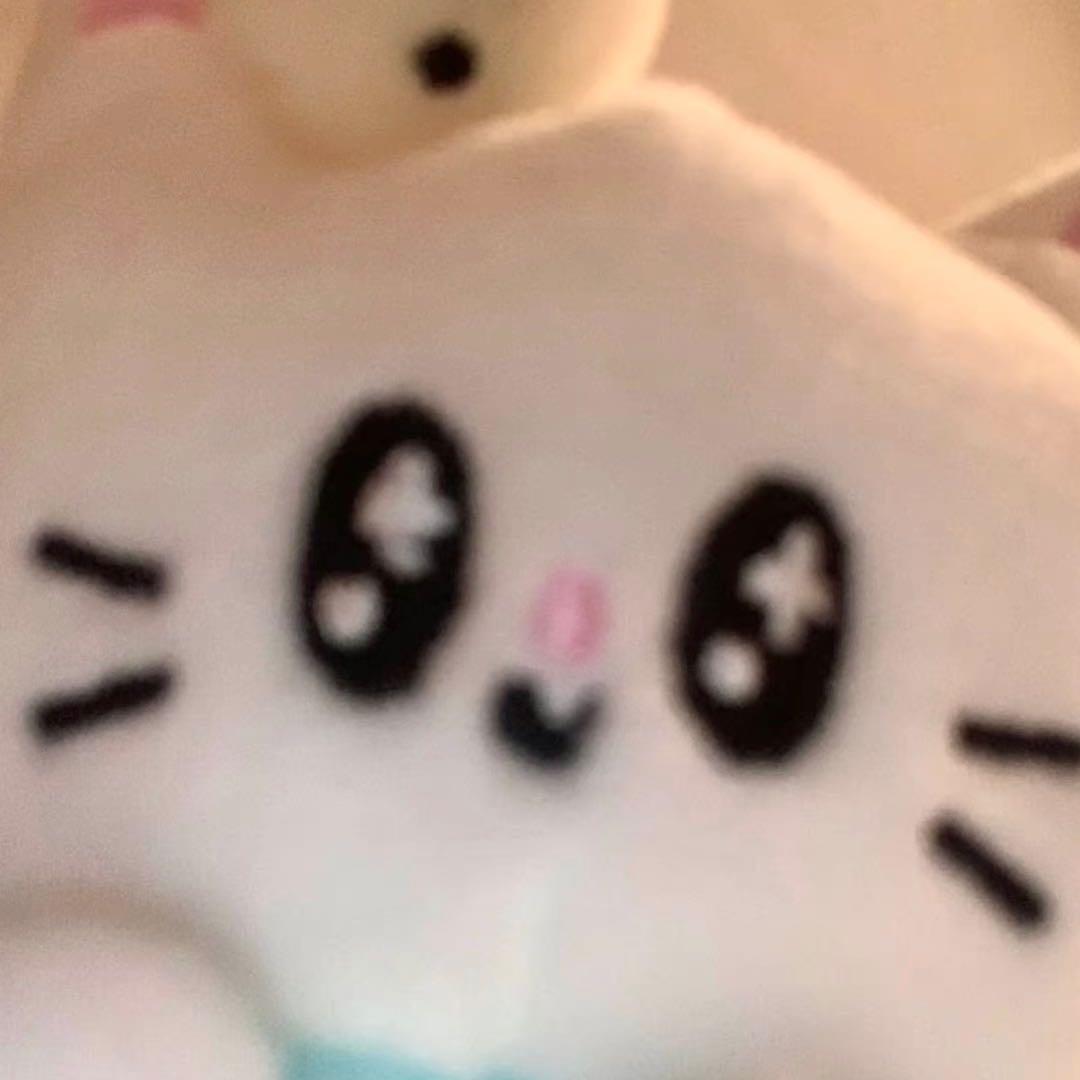 纤维球