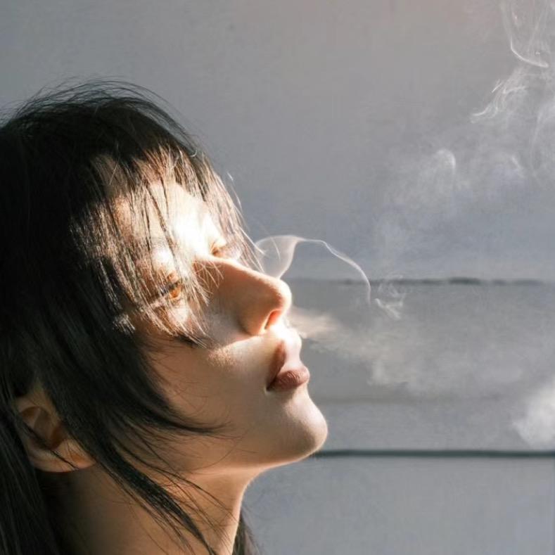 一天摸猫八百遍