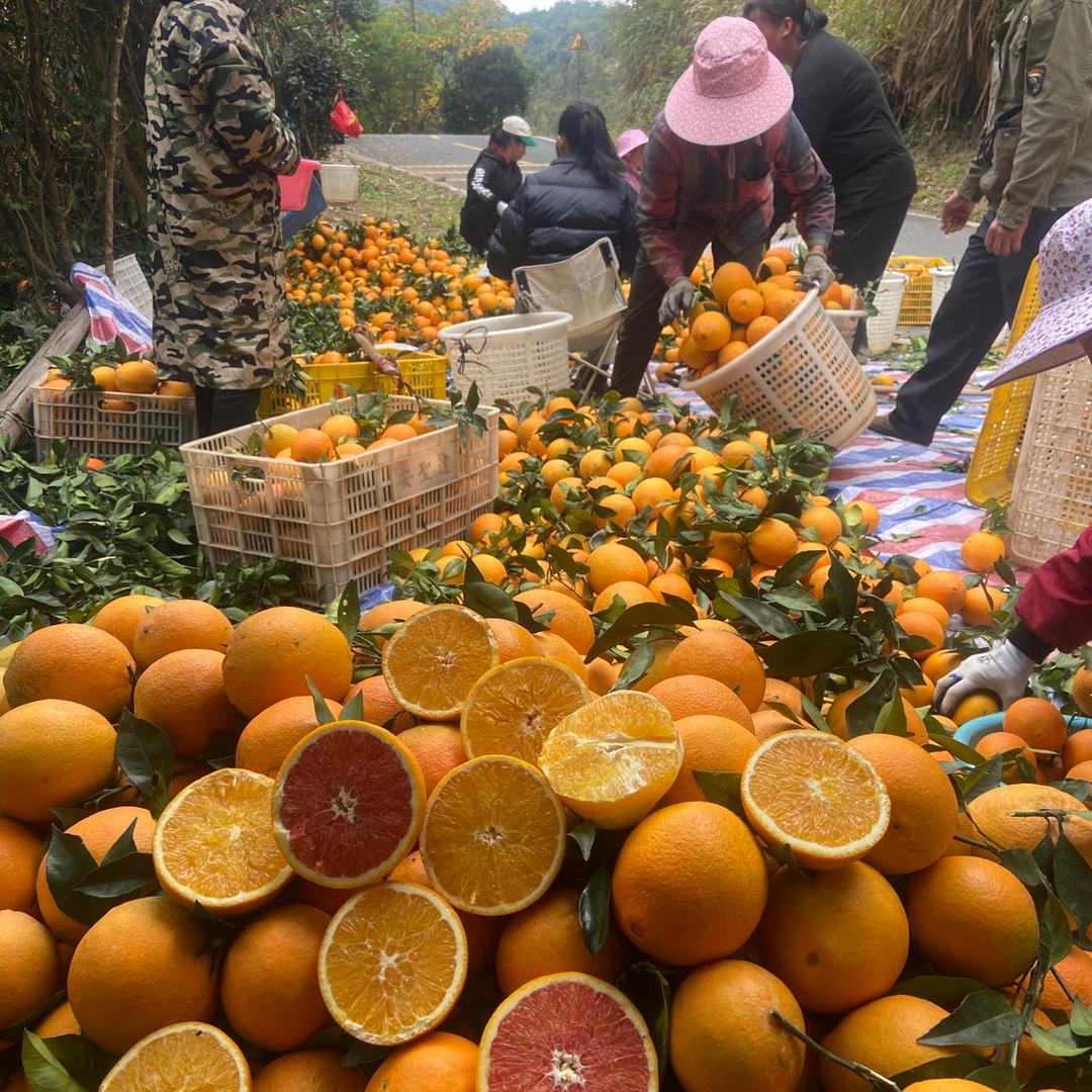 甜一点鲜果