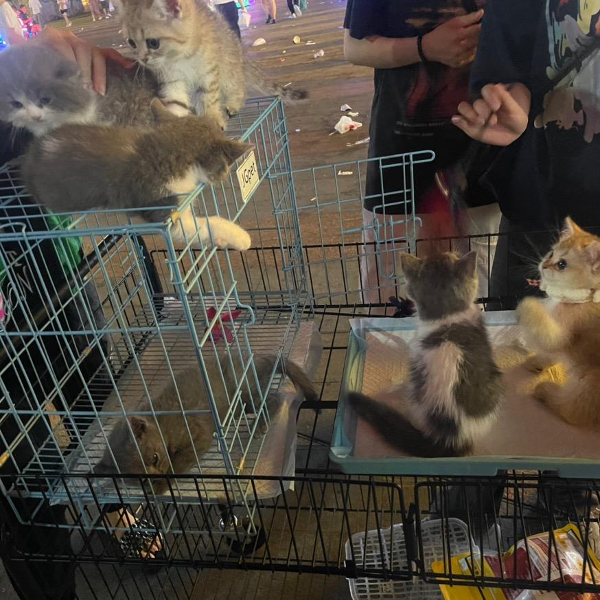 亿然