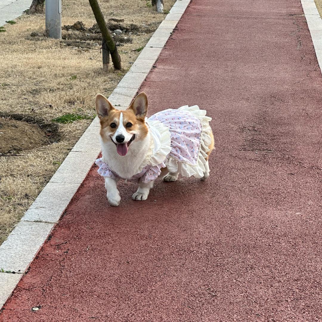 听心