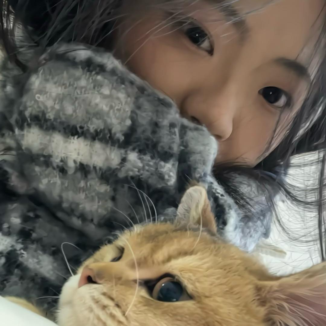 听欣倦舟意. 🐾