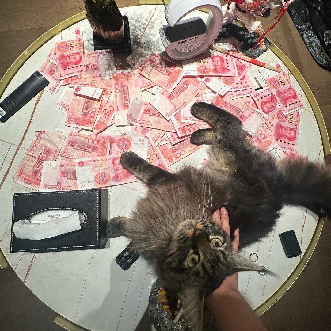 赚钱养小宝