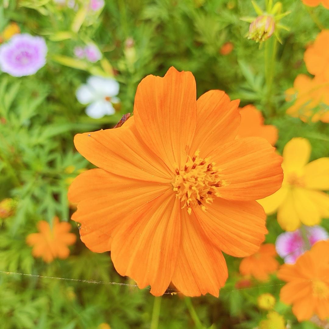 昊天建材&新一天装饰陈大